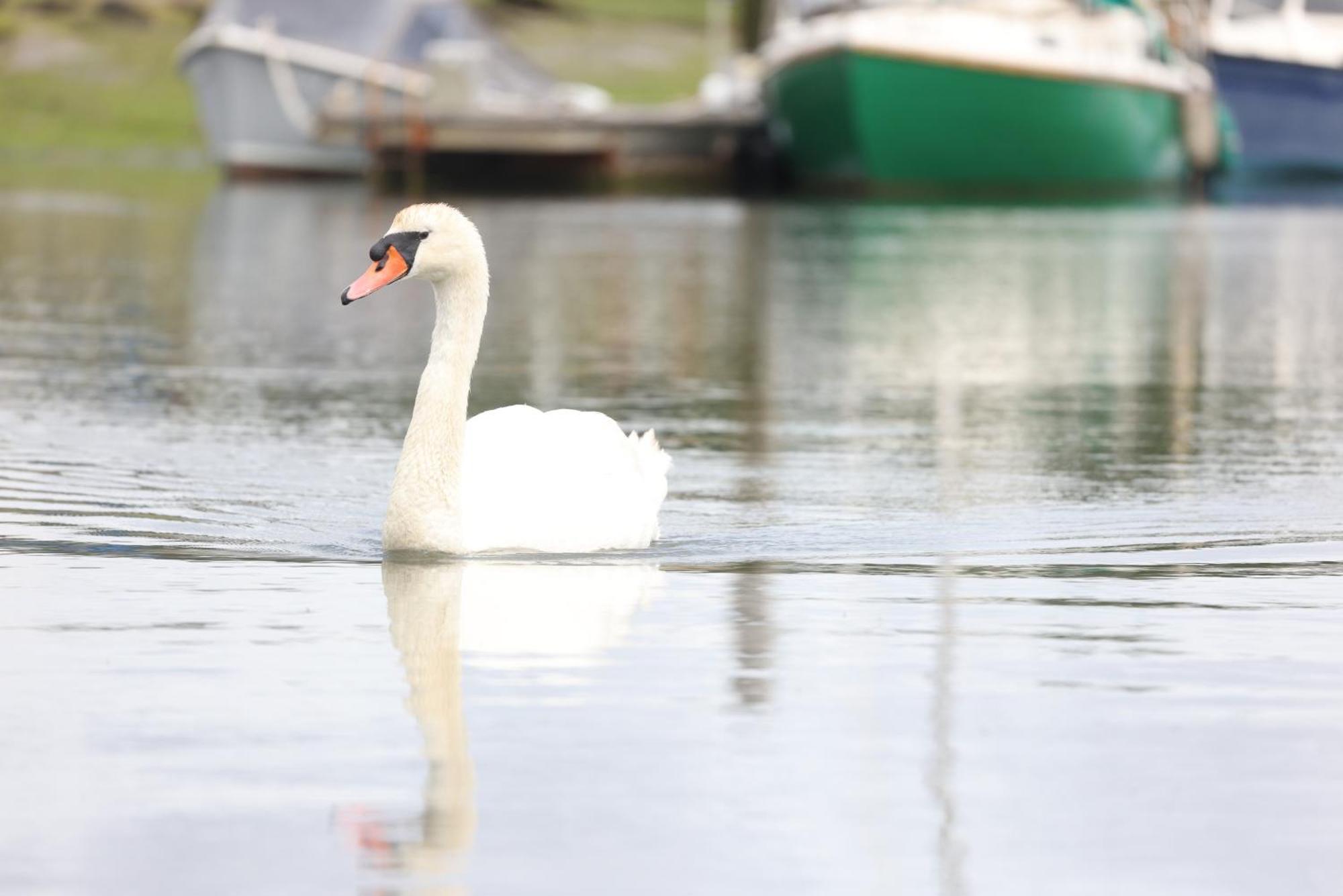 Mercury Yacht Harbour And Holiday Park Bursledon Exterior foto